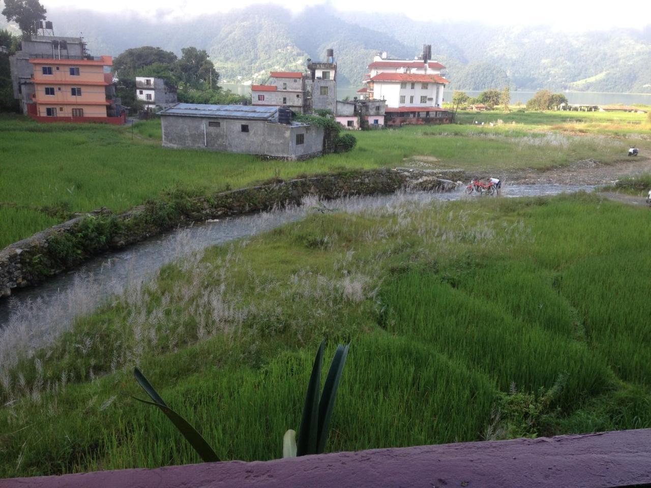 Bishnu Homestay Pokhara Exterior foto