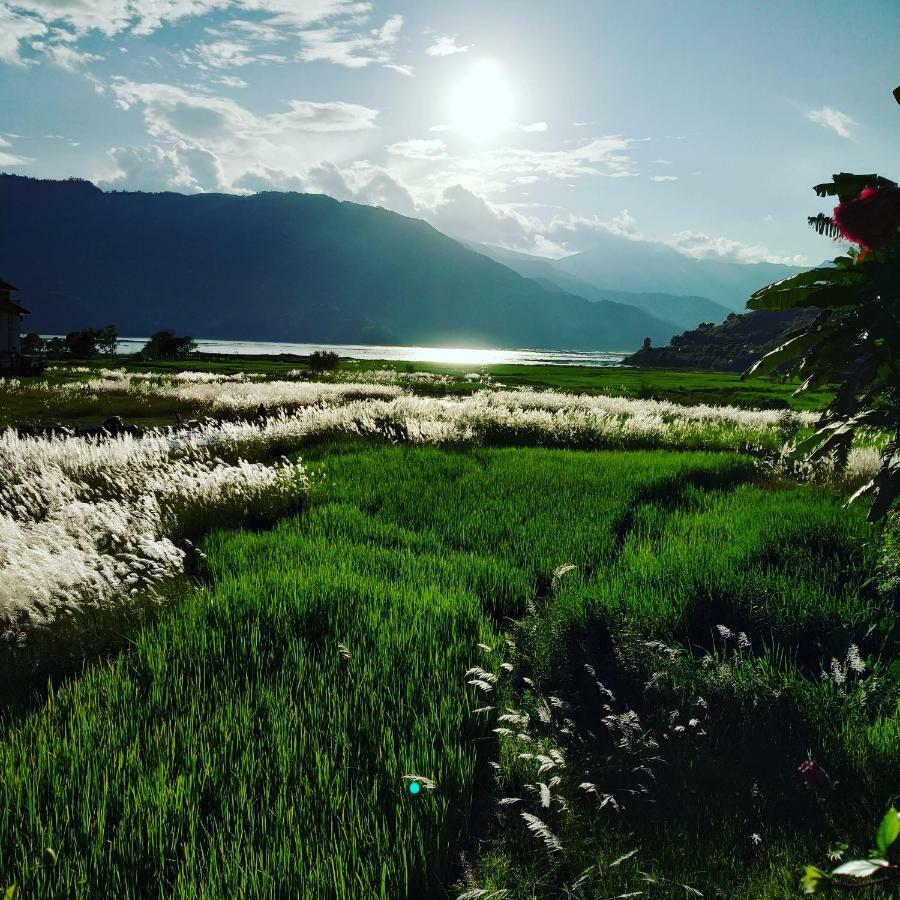 Bishnu Homestay Pokhara Exterior foto